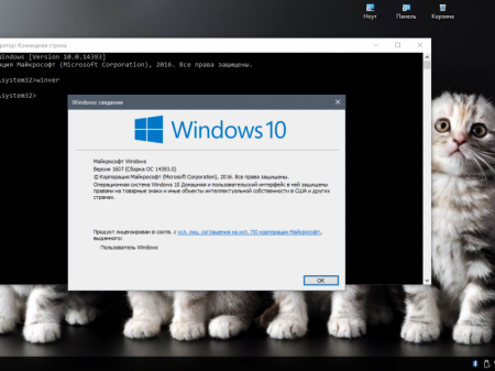 Windows_10_HomkA_Rs1_(x64)_AglayA_(2016)_[RUS] (RUS)