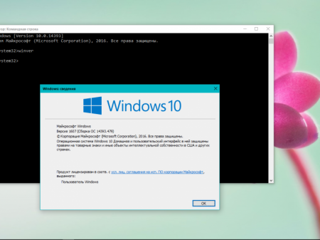 Windows_10_HomkA_Rs1_(x64)_AglayA_(2016)_[RUS] (RUS)