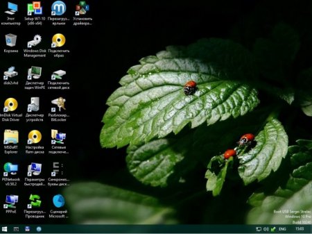 WinPE 10-8 Sergei Strelec (x86/x64/Native x86) 2016.12.29 [Ru]