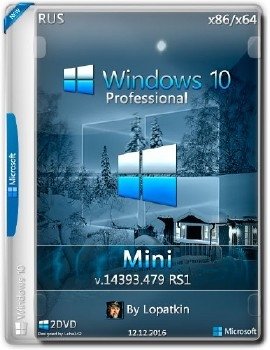 Windows 10 Pro 14393.479 rs1 x86-x64 RU-RU MINI