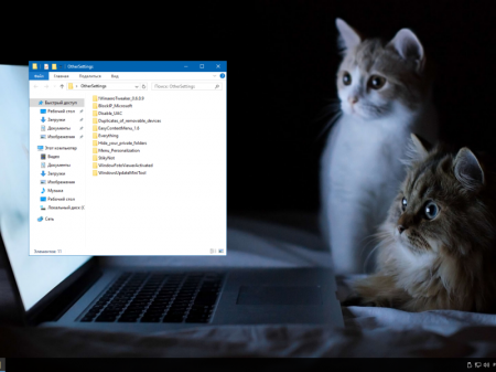 Windows 10 Enterprise LTSB 2016 v1607 (x86/x64) by LeX_6000 [13.01.2017] [RU]