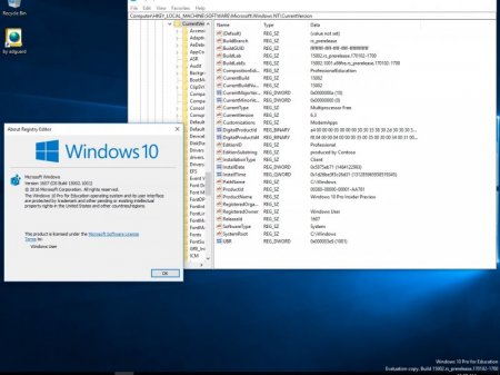 Windows 10 Redstone 2 [15002.1001] (x86-x64) AIO [28in2] adguard (v17.01.10)