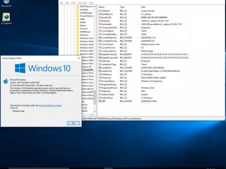 Windows 10 Version 1607 with Update [14393.693] (x86-x64) AIO [32in2] adguard (v17.01.11)