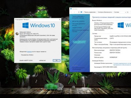 Windows 10x86x64 Enterprise LTSB 14393.577 v.1.17