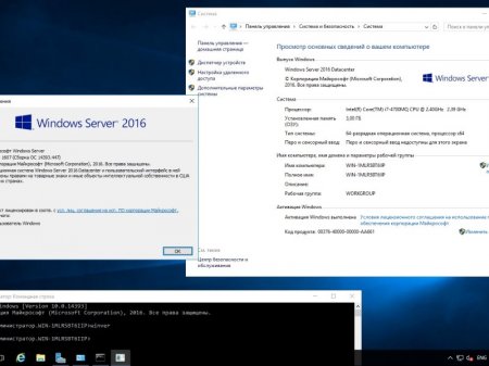 Microsoft Windows Server 2016 RTM Version 1607 Build 10.0.14393.447 (Updated Jan 2017) -    Microsoft VLSC