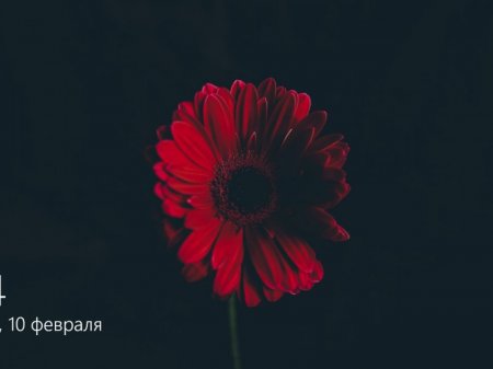 Windows 10 Pro (X86) BY SLO94 v.09.02.17 [Ru]