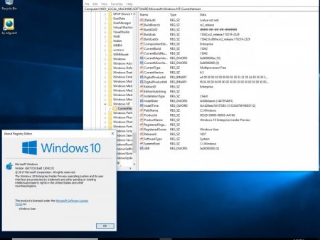 Windows 10 Redstone 2 [15042.0] RTM-Escrow (x86-x64) AIO [28in2] adguard (v17.02.24)