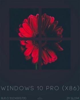 Windows 10 Pro (X86) BY SLO94 v.09.02.17 [Ru]