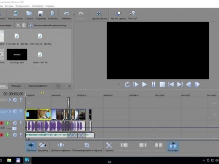MAGIX Movie Studio Platinum 13.0 Build 960 (x64) (2016) [Multi/Rus]