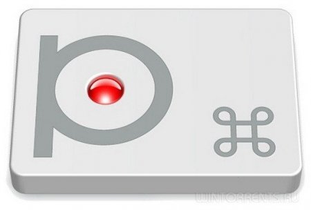 Punto Switcher 4.2.5 Build 1238 Final (2016) [Rus]