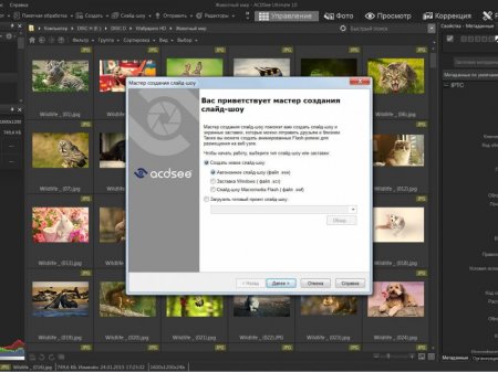 ACDSee Ultimate 10.0 Build 839 RePack by KpoJIuK (2016) [Rus/Eng]