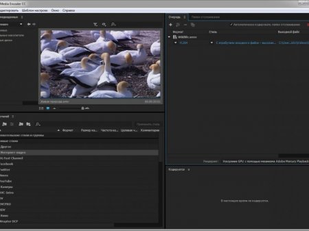 Adobe Media Encoder CC 2015.4 v10.4 by m0nkrus (x64) (2016) [Multi/Rus]