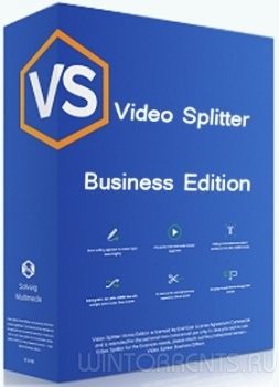 SolveigMM Video Splitter 6.1.1611.2 Beta Business Edition + Portable (2016) [ML/Rus]