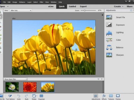 Adobe Photoshop Elements 15 by m0nkrus (2016) [Rus/Multi]