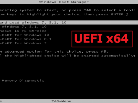 ParAAvis Flash ver:FireBird 10.2016 (x86-x64 | UEFI) (2016) [Rus/Eng]