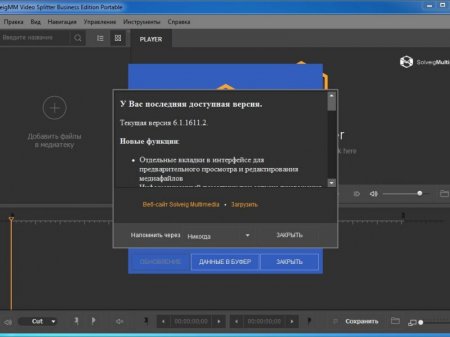 SolveigMM Video Splitter 6.1.1611.2 Beta Business Edition + Portable (2016) [ML/Rus]