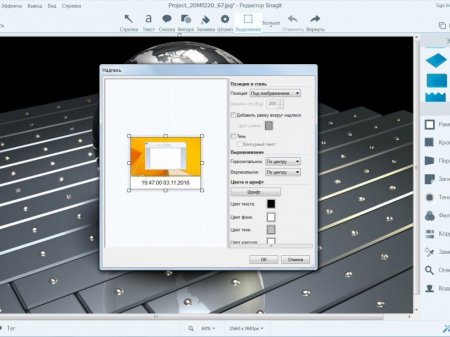 TechSmith Snagit 13.0.3 Build 7011 RePack by D!akov (2016) [Rus/Eng]