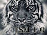 Windows 7 Ultimate by TSM 1.0 x64[Ru]