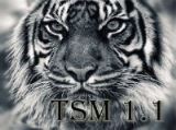 Windows 8.1 Professional by TSM 1.1 (x64) [Ru] (2016)