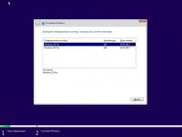 Windows 10 Pro 15063.0 x86/x64  v.2.17 by naifle []