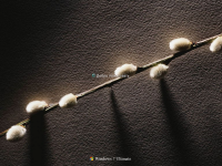 Windows 7 SP1  KottoSOFT(x86-x64 ) [v.  ] [] [2017]