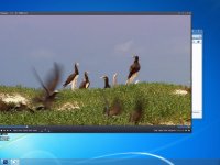 Windows 7 x64 SP1 Enterprise KottoSOFT v.11 ( &RunMe )
