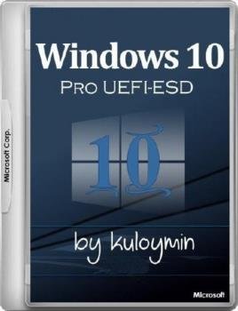 Windows 10 Pro 1709 x86/x64 by kuloymin v12.2 (esd)